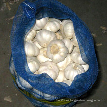 Exportar buena calidad Fresh Chinese Mesh Bag Embalaje Pure White Garlic